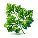 petržlenová vňať